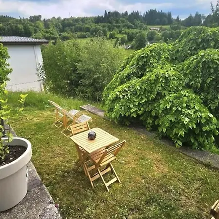 F2 Vue Incroyable Sur Avec Jardin Avec Balneo Et 400m Centre 아파트 제라르메르