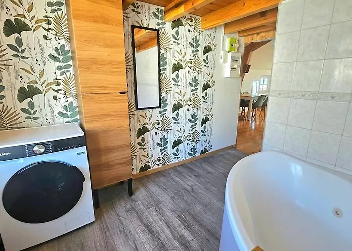 F2 Vue Incroyable Sur Avec Jardin Avec Balneo Et 400m Centre 제라르메르