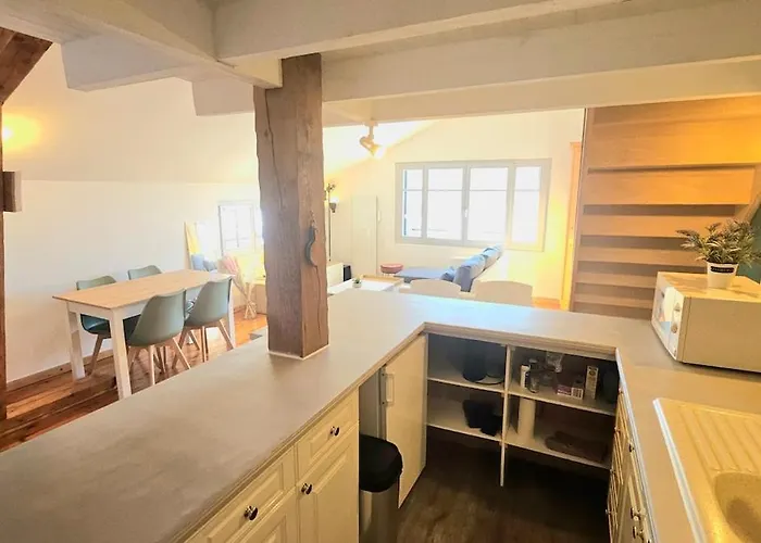 아파트 F2 Vue Incroyable Sur Avec Jardin Avec Balneo Et 400m Centre 제라르메르