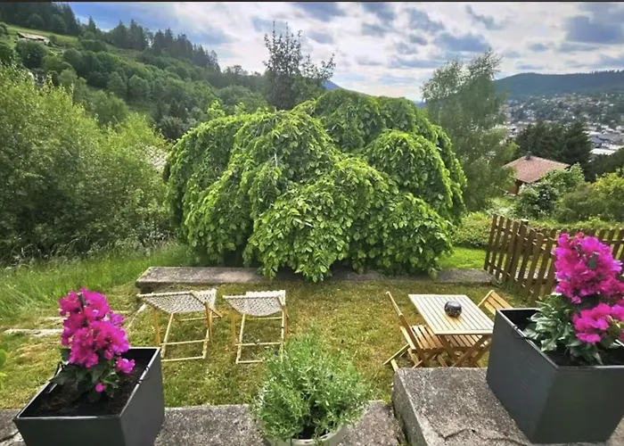 F2 Vue Incroyable Sur Avec Jardin Avec Balneo Et 400m Centre Gérardmer