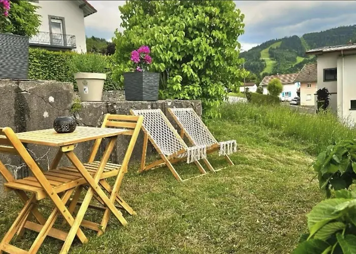 F2 Vue Incroyable Sur Avec Jardin Avec Balneo Et 400m Centre Gérardmer